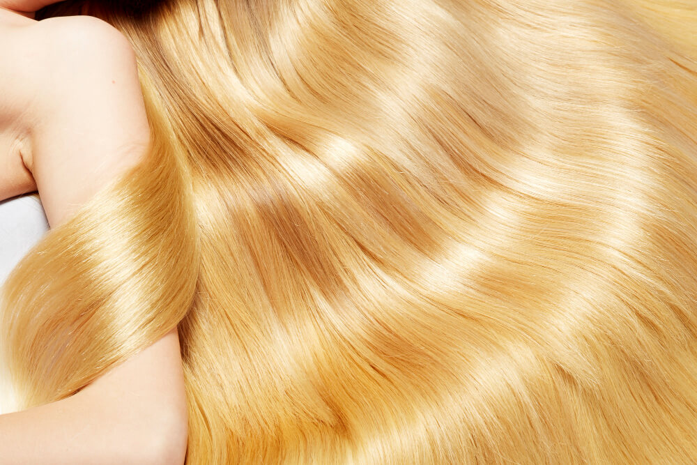 צבעי שיער מאמר blond-hair-texture (1)